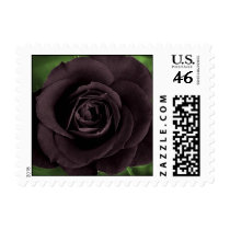 Black Rose Postage Stamps