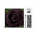Black Rose Postage Stamps