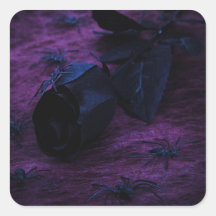 Black Rose Stickers
