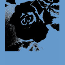 Black Rose Tshirt