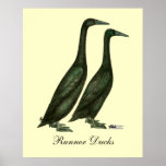 Black Runner Ducks Print