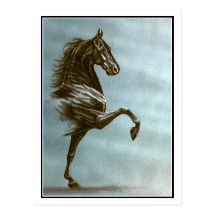Black Saddlebred Horse Post Cards