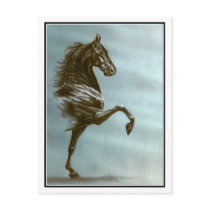 Black Saddlebred Horse Post Cards