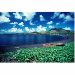 Black sand beach acrylic cut out