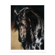 Black Satin - print by cindypriceart Black Satin - print