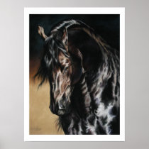 Black Satin - print