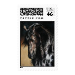 Black Satin stamps - Friesian Horse!!!