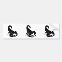 Black Scorpion Bumper Sticker