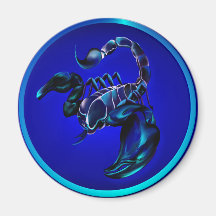Black Scorpion Magnets
