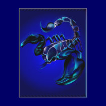 Black Scorpion Postcard postcards