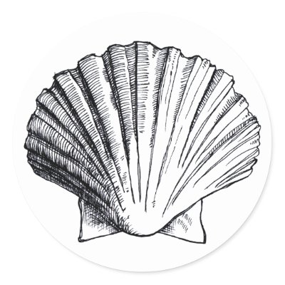 Beach Shell Drawing