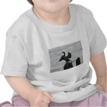 Black Seabird Tees