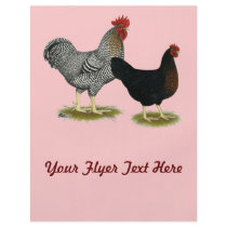 Black Sex-linked Chickens Personalized Flyer