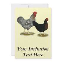 Black Sex-linked Chickens Personalized Announcement