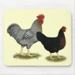 Black Sex-linked Chickens mousepads
