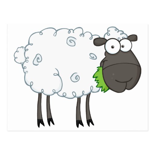 Black Sheep Cartoon Character Postcard | Zazzle