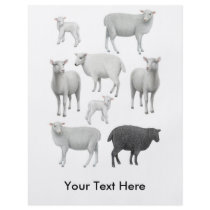 Black Sheep Flyer