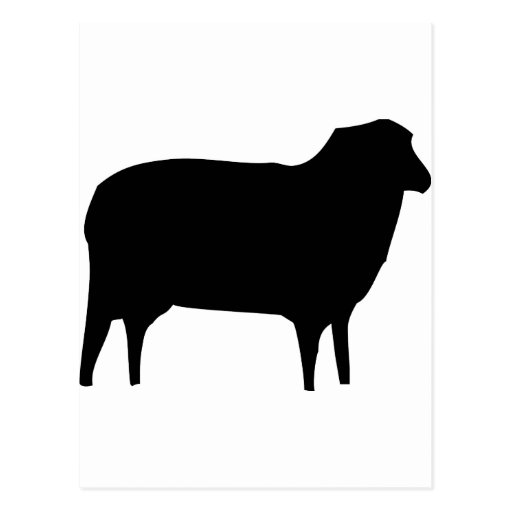 black sheep icon postcard | Zazzle