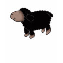 Black Sheep Ladies Basic T-Shirt