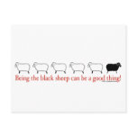 Black Sheep Post Card
