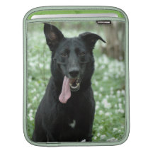 Black Shepherd iPad Sleeve