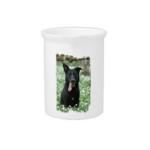 Black Shepherd Pitcher