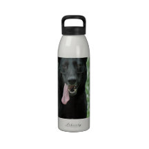 Black Shepherd Water Bottle