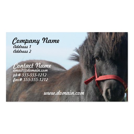 Black Shetland Pony Business Card (front side)
