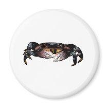 Black Shore Crab magnets