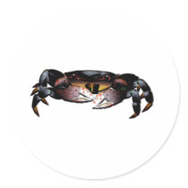 Black Shore Crab stickers