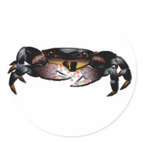 Black Shore Crab stickers