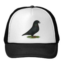 Black Show Racer Mesh Hats