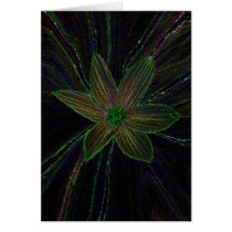 Black Six Pointer cards