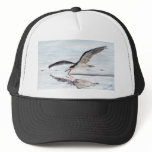 Black Skimmer Trucker Hat
