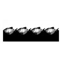Black Skirt Tetra School posters by S_Evelyn_Vincent Black Skirt Tetra School posters