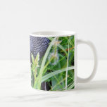 Black Slug In Grass Mug