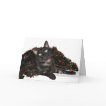 Black smoke cat Christmas cards by deemac1 Black smoke cat Christmas cards
