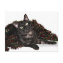 Black smoke cat Christmas postcards by deemac1 Black smoke cat Christmas postcards
