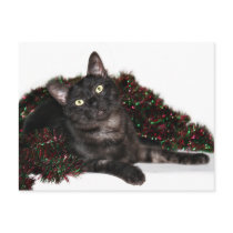 Black smoke cat Christmas postcards by deemac1 Black smoke cat Christmas postcards