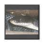 Black Snake Magnet