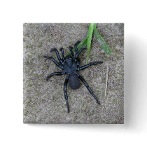 Black Spider Pinback Buttons