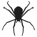 Black Spider Halloween Goth Fantasy Design embroideredshirt