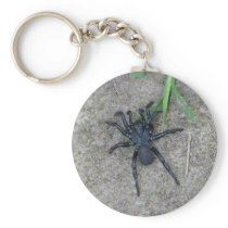 Black Spider Key Chain