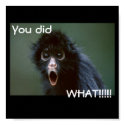 black-spider-monkey edited, You did, WHAT!!!!! posters by abby08 black-spider-monkey edited, You did, WHAT!!!!! posters