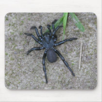 Black Spider Mouse Pads