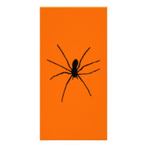 Black Spider Template Photo Greeting Card