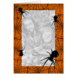 Black Spiders Photo Greeting Card