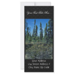 Black spruce forest and ledum rack card