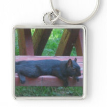 Black Squirrel Keychain