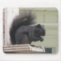 Black Squirrel Mouse Pad mousepads